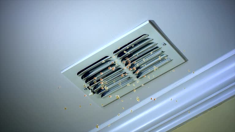 Best Best Air Duct Cleaning Company  in St Albans, VT